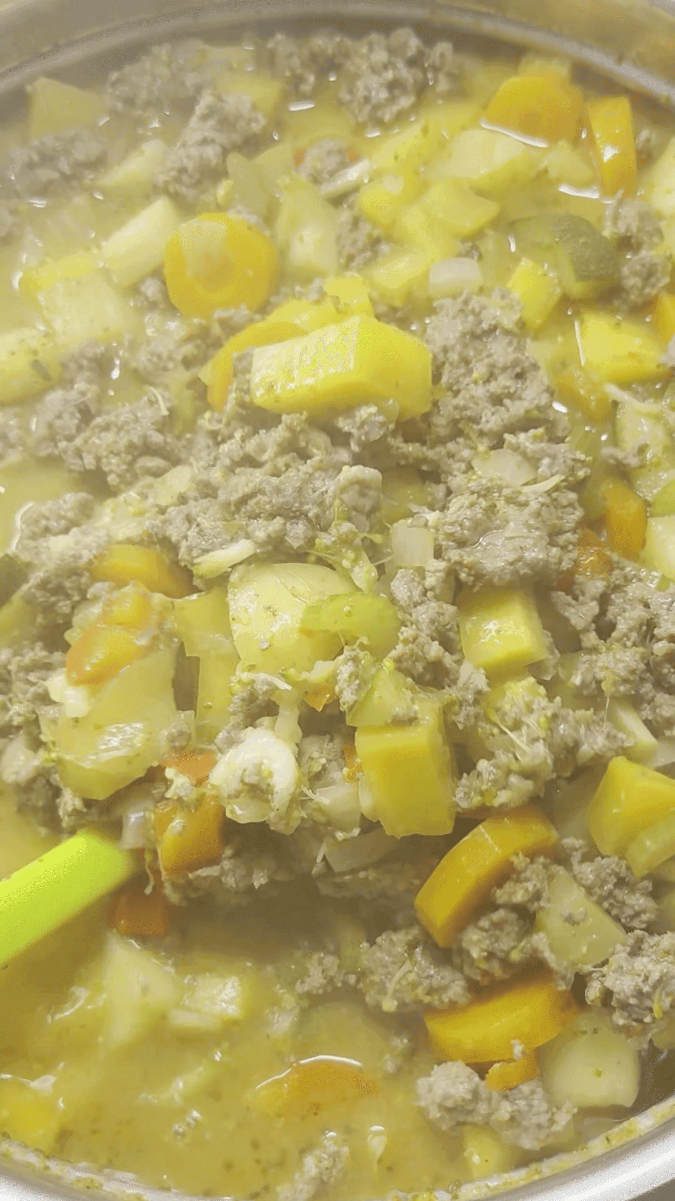 Healthy Beef Soup - Image 1